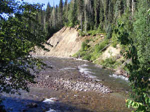 8 august 2007 web019.jpg (357034 byte)