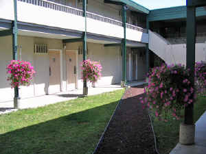 8 august 2007 web029.jpg (246574 byte)