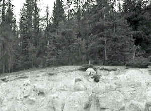 IMG_3934a.jpg (145905 byte)