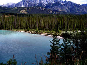 IMG_3944a.jpg (163351 byte)