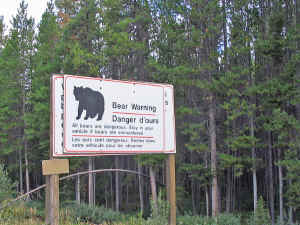 IMG_3957a_edited-1.jpg (537363 byte)