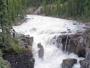 IMG_3962a.jpg (144885 byte)