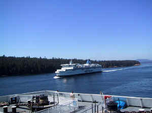 Kopi af IMG_0539.JPG (76205 byte)