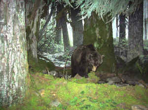 Kopi af IMG_0547.JPG (153184 byte)