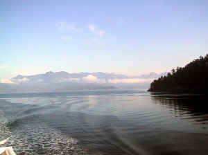 Kopi af IMG_0571.JPG (71868 byte)