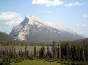 Kopi af IMG_0584.JPG (88104 byte)