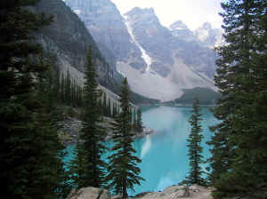 Kopi af IMG_0587.JPG (121769 byte)