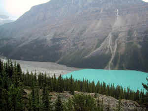 Kopi af IMG_0589.JPG (104142 byte)