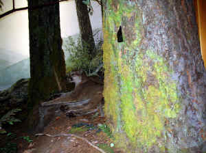 Kopi af IMG_0730.JPG (132134 byte)