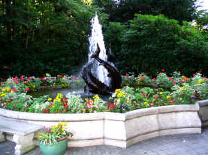 Kopi af IMG_0734.JPG (148715 byte)