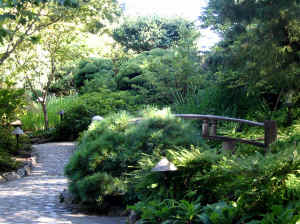 Kopi af IMG_0736.JPG (158457 byte)