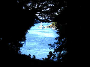 Kopi af IMG_0737.JPG (77446 byte)