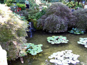 Kopi af IMG_0739.JPG (166574 byte)