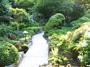 Kopi af IMG_0740.JPG (179714 byte)