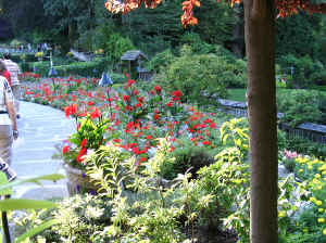 Kopi af IMG_0741.JPG (188360 byte)