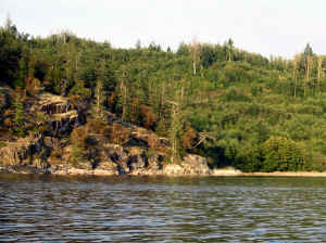 Kopi af IMG_0763.JPG (130828 byte)