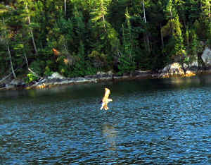 Kopi af IMG_0764.JPG (161552 byte)