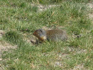 Kopi af IMG_0784.JPG (130609 byte)