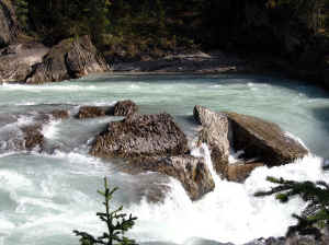 Kopi af IMG_0791.JPG (112417 byte)