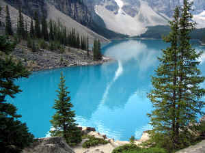 Kopi af IMG_0800.JPG (137302 byte)