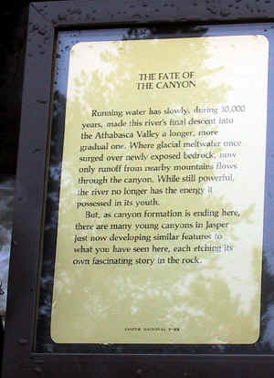 Kopi af IMG_0807.JPG (160344 byte)