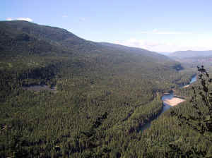 Kopi af IMG_0810.JPG (116258 byte)