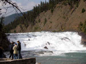 Kopi af IMG_0811.JPG (101773 byte)