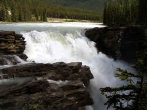 Kopi af IMG_0856.JPG (97231 byte)