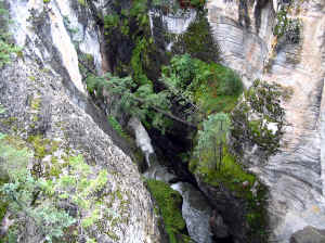 Kopi af IMG_0882.JPG (176334 byte)