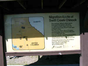 Kopi af IMG_0906.JPG (75195 byte)